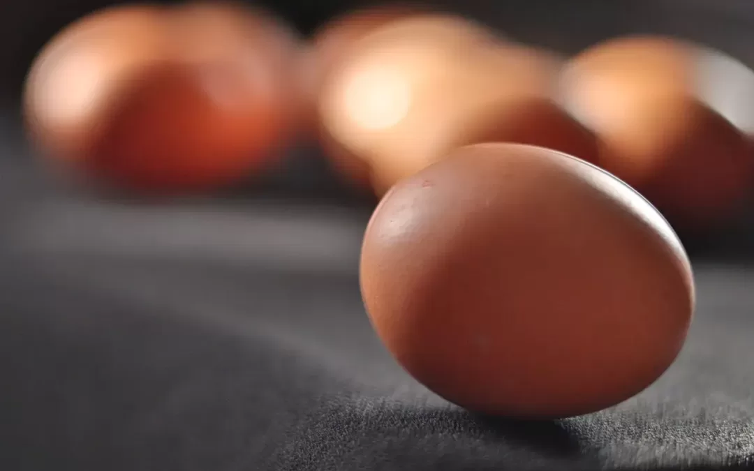 Huevo deshidratado precio y venta en Colombia